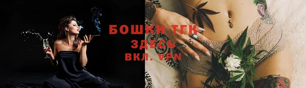 соль ск Гусь-Хрустальный