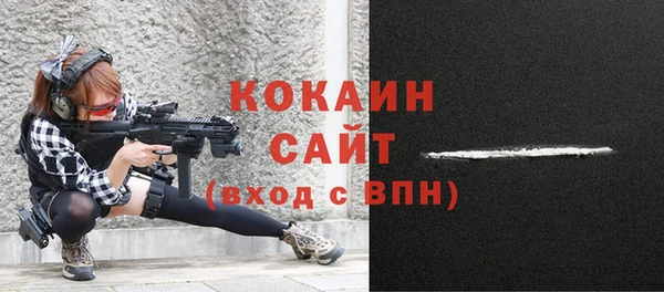 индика Горняк
