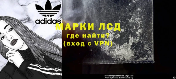 индика Горняк