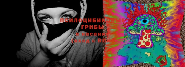 прущий лед Гусиноозёрск